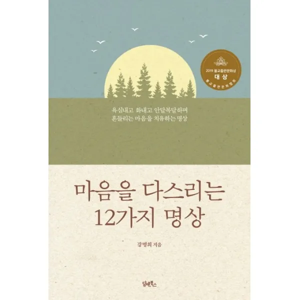마음을 다스리는 12가지 명상:욕심내고 화내고 안달복달하며 흔들리는 마음을 치유하는 명상, 담앤북스