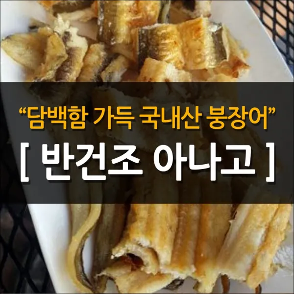 국내산 반건조 아나고 붕장어 반건조장어 1box 반건조 붕장어 아나고 500g 1팩