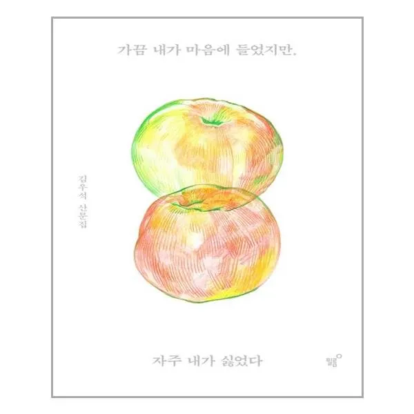 필름 Feelm 가끔 내가 마음에 들었지만 자주 내가 싫었다 김우석 Etc 필름 Feelm 