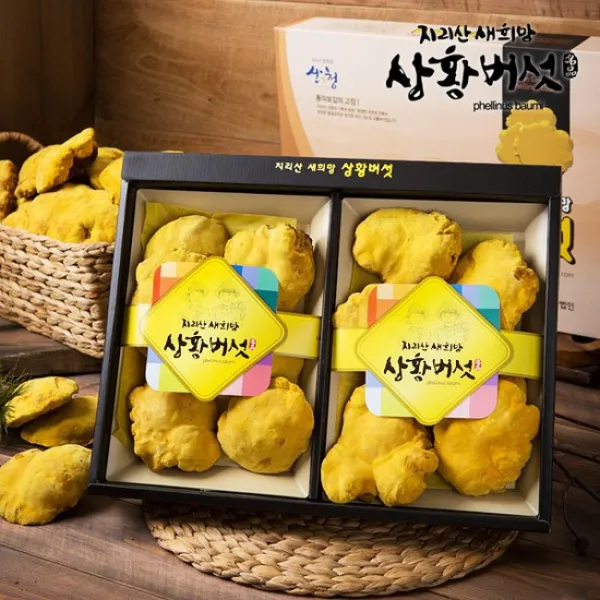 지리산 새희망 상황버섯 무농약지리산상황버섯선물세트200g특품, 없음, 상세설명 참조