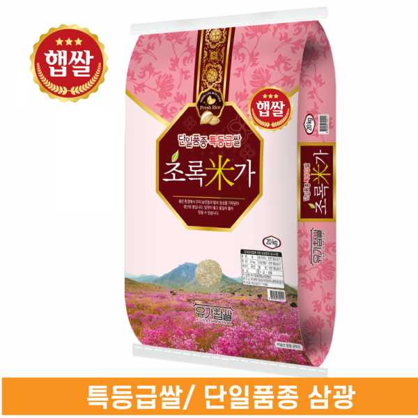  유가농협 초록미가 10kg 특등급 쌀 2020년산 햅쌀 삼광쌀 1포