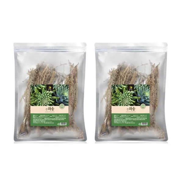 와송 건재 신탑 탑송 바위솔 국내산 100g 2팩, 단품, 단품