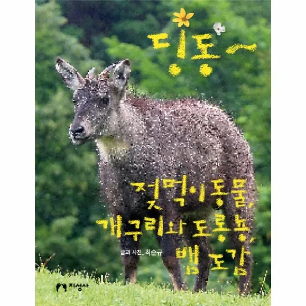 이노플리아 딩동 젖먹이동물 개구리와 도롱뇽 뱀도감, One color | One Size@1