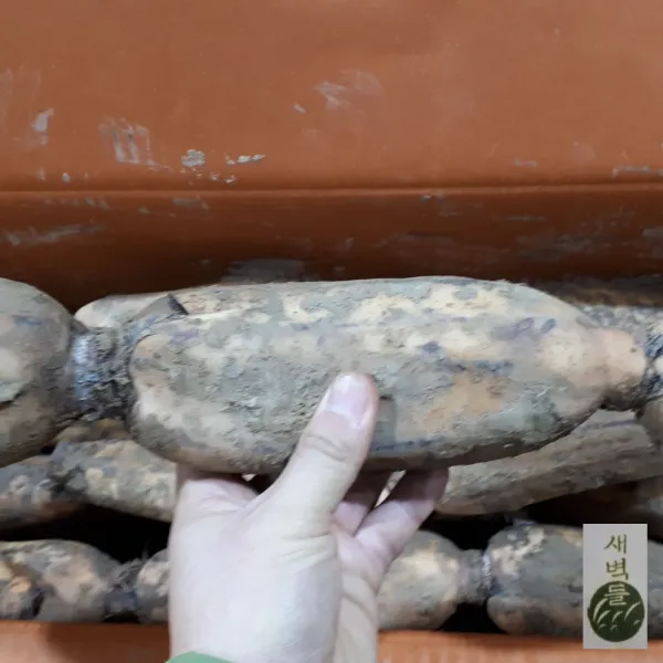 새벽들 통 연근 1kg, 1봉