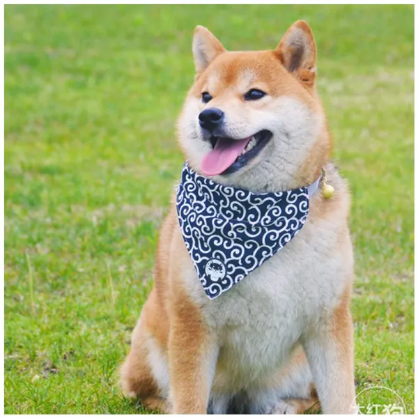 풀무늬 강아지 초커 숏 딩동벨 시바견 외출 액세서리 당초 침받이 넥워머 당초 타바스블루 삼각수건 （전후다 작 L 대형