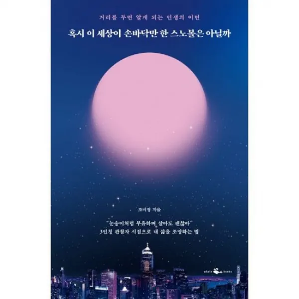 혹시 이 세상이 손바닥만 한 스노볼은 아닐까