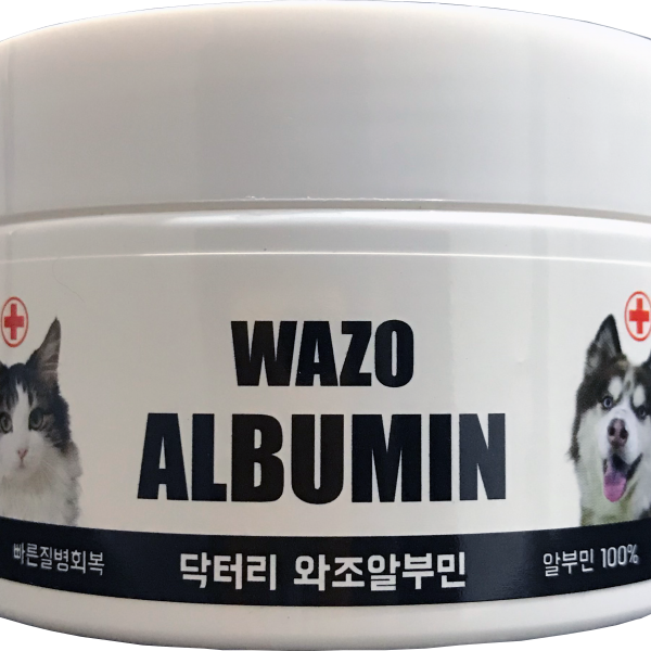 닥터리 와조알부민 면역력 알부민100% 60g