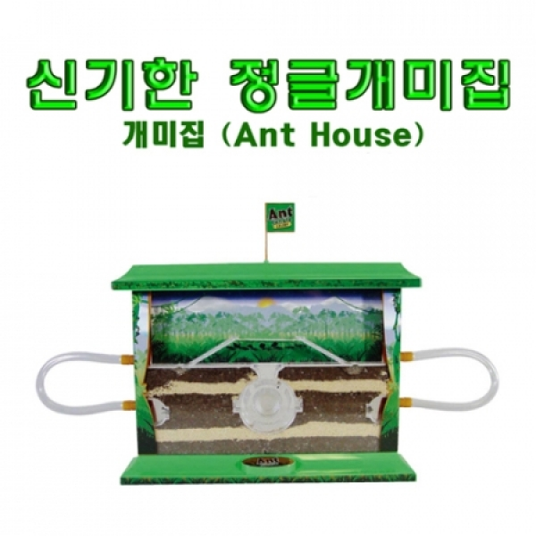 신기한 정글개미집