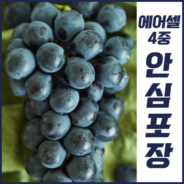 [산지직송] 국내산 포도 충북 영동 프리미엄 캠벨포도 에어캡 완벽포장, 1kg 특품 2-4수