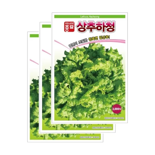 보람농자재 (상추종자씨앗) 청축면 상추하청(3000립x3)