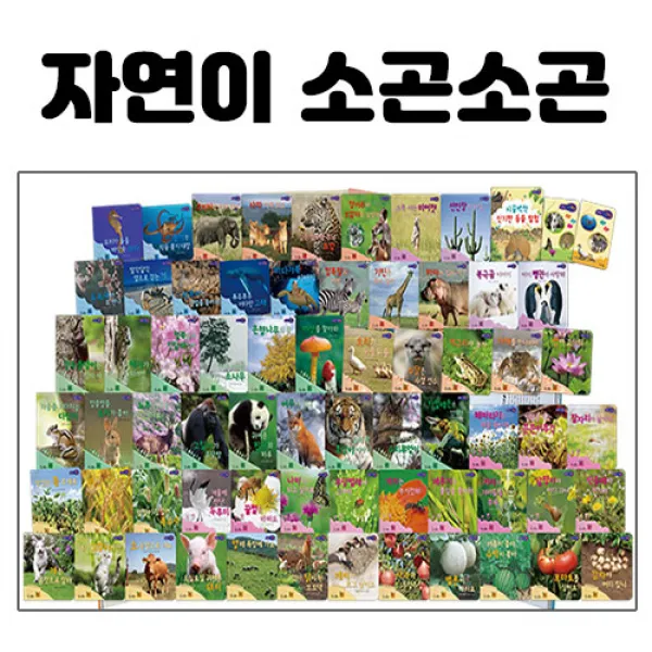 교원 자연이 소곤소곤 - 새상품