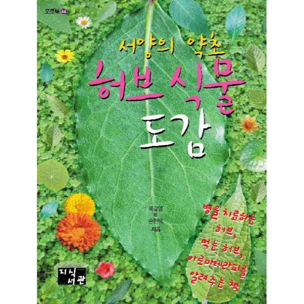 서양의 약초 허브 식물 도감:병을 치료하는 허브 먹는 허브 아로마테라피를 알려주는 책, 지식서관