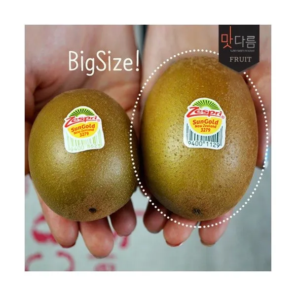  맛다름 특대왕 뉴질랜드 제스프리 골드키위 5.6kg내외 원박스 31~44과 개당 상세 설명 참조 상세 설명 참조