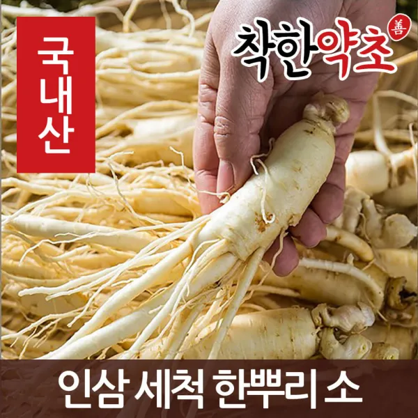 착한약초 금산 인삼 50종 수삼 삼계용 인삼주키트 선물세트, 1개, 1IA_인삼 세척 한뿌리 소(개별포장) 30g 내외