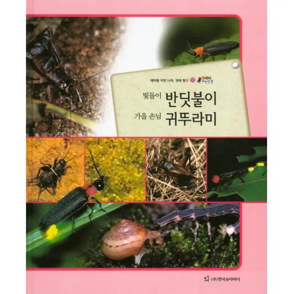 빛돌이 반딧불이 가을 손님 귀뚜라미:테마별 자연 나라 생태 탐구, 한국슈타이너