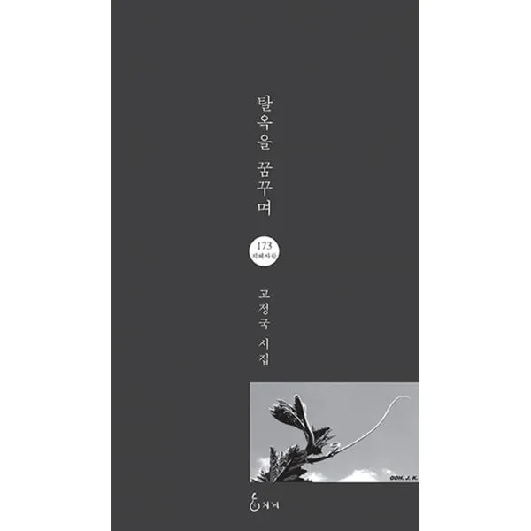 탈옥을 꿈꾸며, 지혜