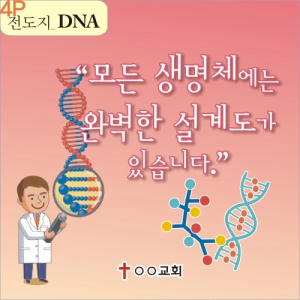 성경적 과학적 전도지 4P 접지 3. - DNA 설계도의 창조주 8 000매
