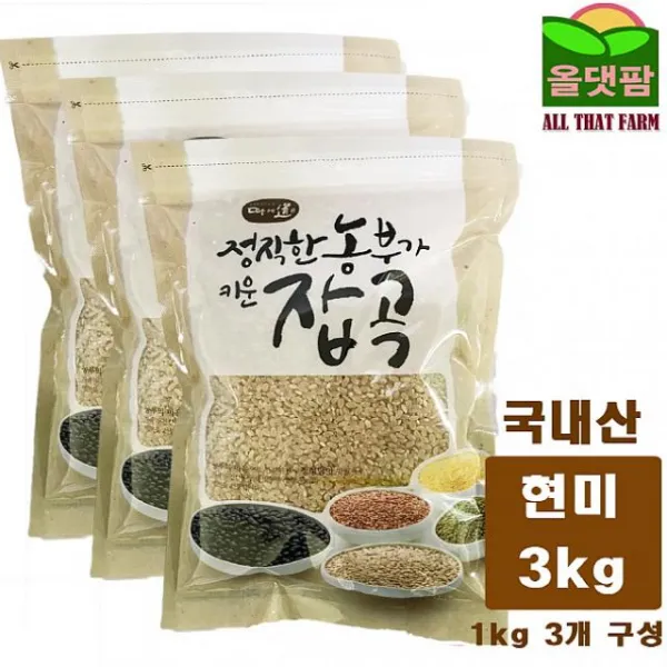 글로벌오케몰 2019년 국내산 현미 현미쌀 3kg 1kg 3개 구성, 1