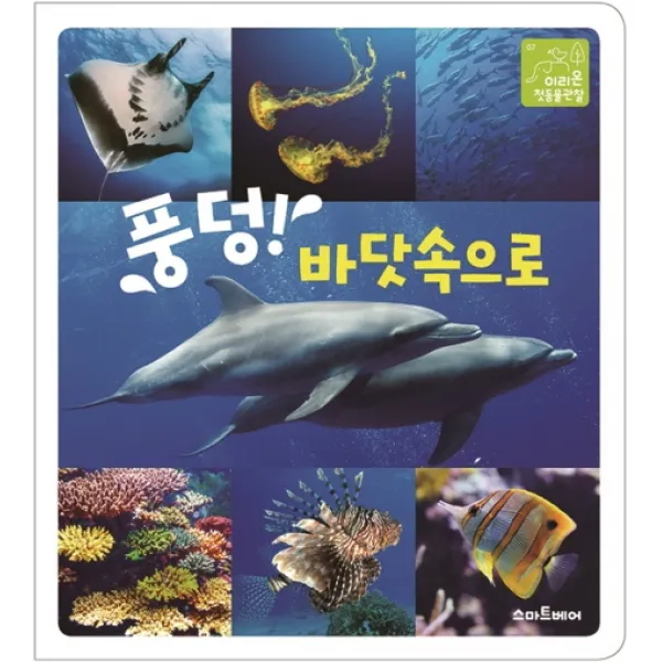 풍덩! 바닷속으로 스마트베어