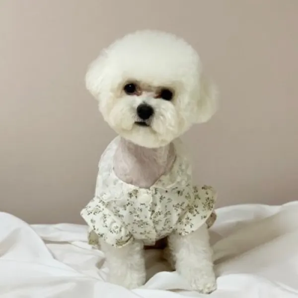  텐바이텐 러블리댕댕 샤랄라 꽃무늬 원피스 M M