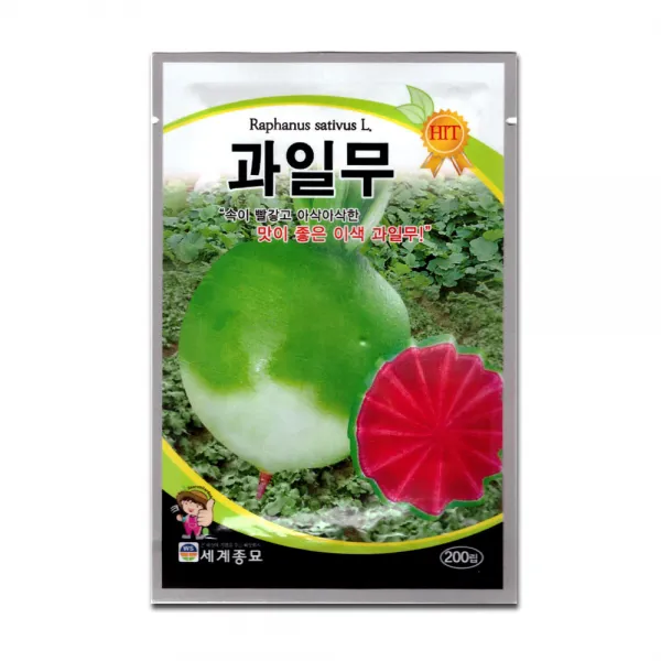 모칸도 (무배) 세계 과일무 씨앗 200립