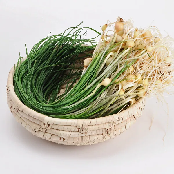 봄나물 달래 2단 4단 8단 2단 250g내외 