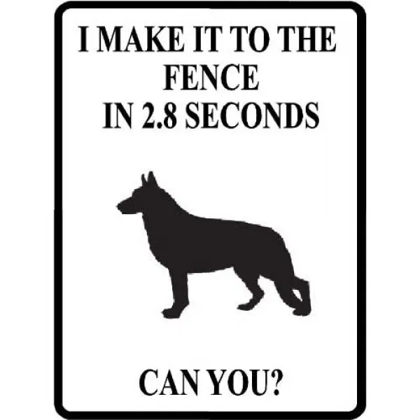 나는 그것을 2.8 두 번째 울타리에 넣었다. 당신은 개 열광적 인 독일 셰퍼드 9x12 소설 알루미늄 파커가 훌륭한 실내 또는 실외에 서명 할 수 있습니다. 본상품 본상품