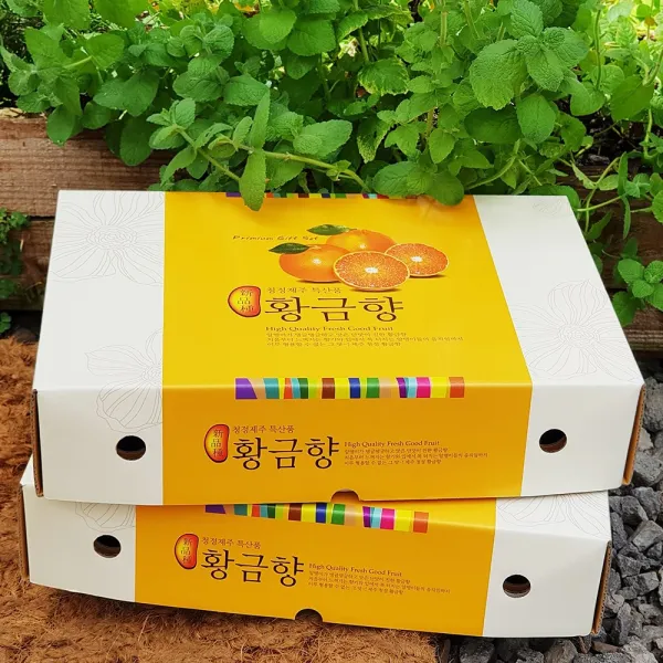 제주산지직송 황금향_대과 3kg 선물용 10 14수 2box 엣지있게 상큼한 여름만감류!!