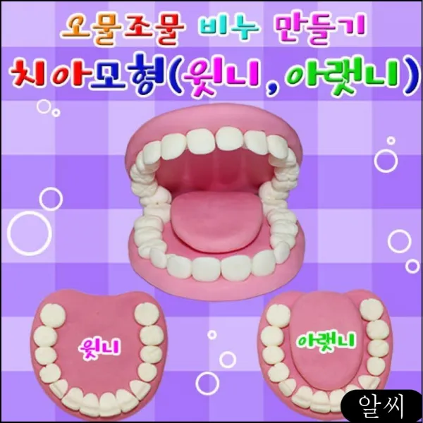 Ms 3세트 윗니와 학습교구 만들기세트 과학키트 아랫니 치아모형 유아학습용품 향앤미과학