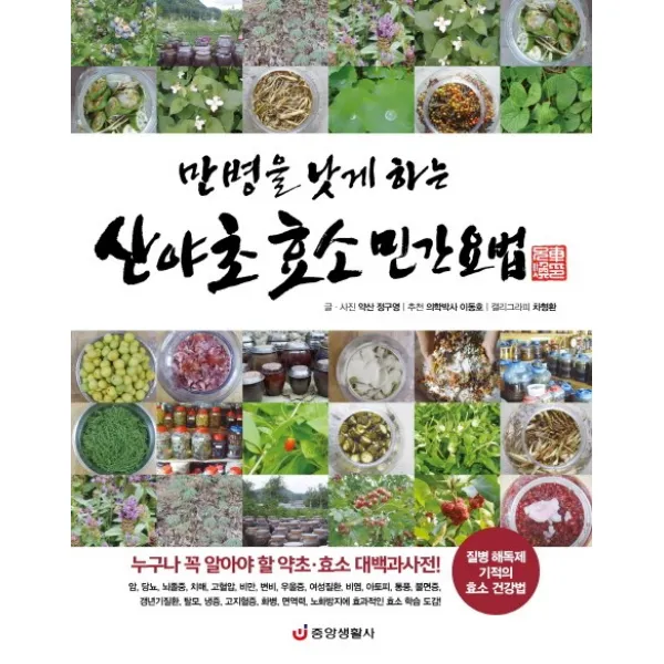 만병을 낫게 하는 산야초 효소 민간요법:질병 해독제 기적의 효소 건강법, 중앙생활사