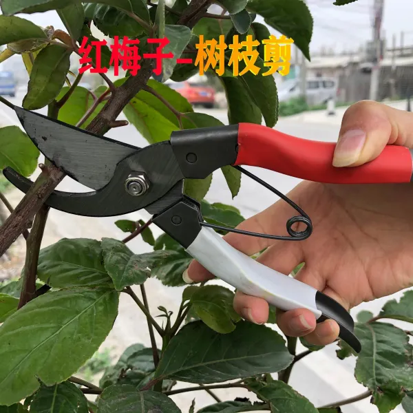 나무가 굵다 가지 가위다 칼원림 화예 자르는 원예가위 칼손질 도구 꽃가위, 레드 매실 -나뭇가지 자르는