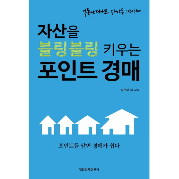자산을 블링블링 키우는 포인트 경매:포인트를 알면 경매가 쉽다 | 부동산경매로 자산을 키워라, 매경출판