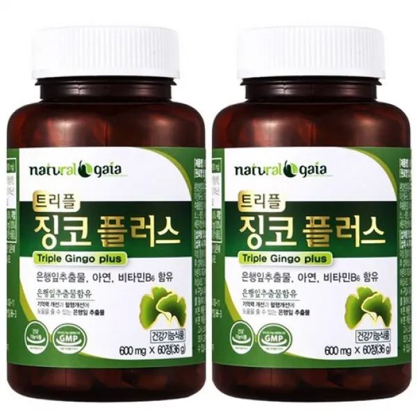 은행잎엑스 은행잎추출물 징코 뇌 기억력 혈행 혈액순환 개선 영양제 징코민 플러스 2병 4개월분, 600mg x60정x2병