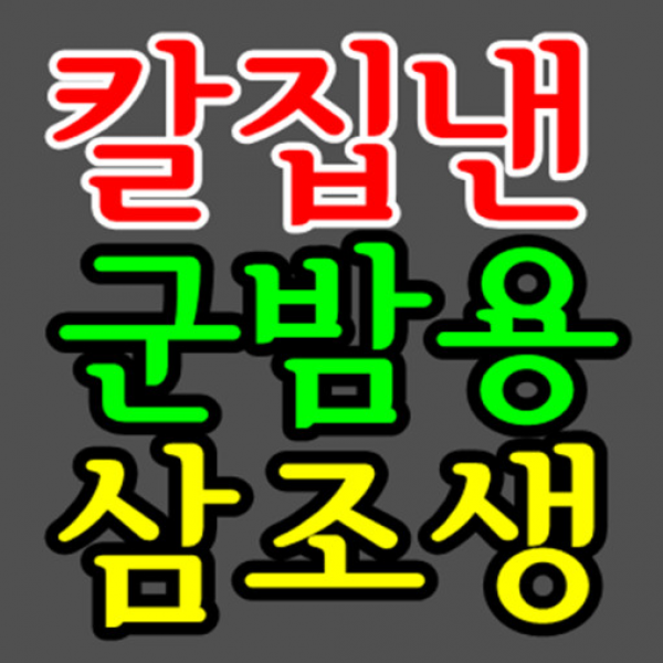 [무농약 공주알밤] 칼집낸 군밤용 에어플라이어용 가정용