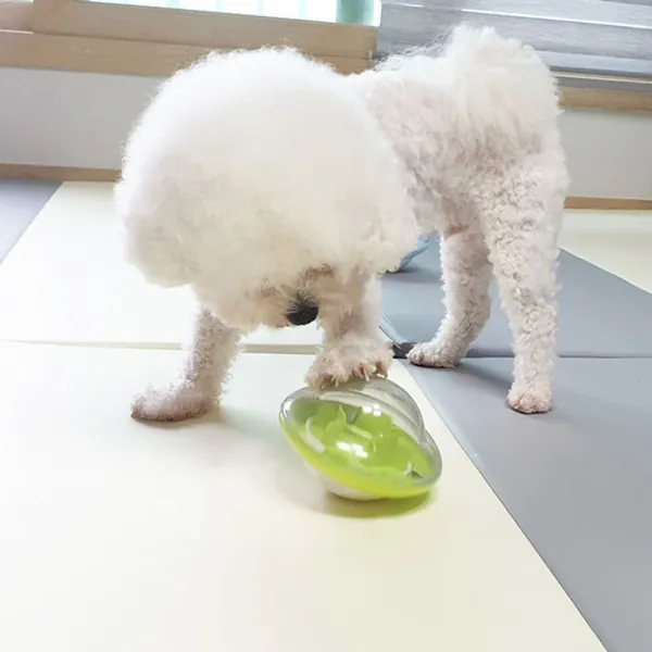 위드Juu_반려동물용 오뚝이 우주선 노즈워크 발재간 장난감 강아지훈련장난감 간식토이 노즈워크장난감 강아지간식토이 장난감+위드위드위드주주, Rwㅌㄹ★블루