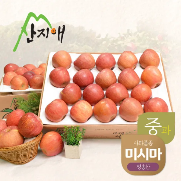 산지애 알뜰 못난이사과(중과) 4.5kg 2box