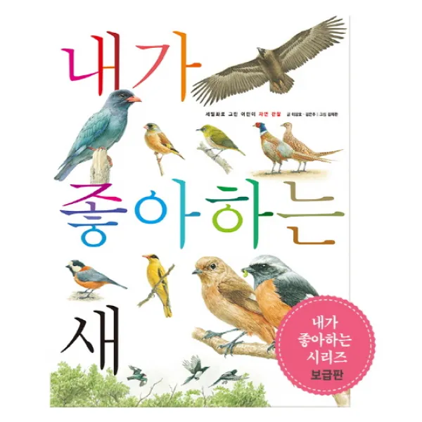 내가 좋아하는 새, 호박꽃