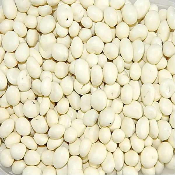 Sconza Raisins Yogurt Covered |Yogurt Covered Raisins 5 Pound (80 OZ) 스콘 자 (Sconza) 건포도 요구르트 덮여 | 요구, 1