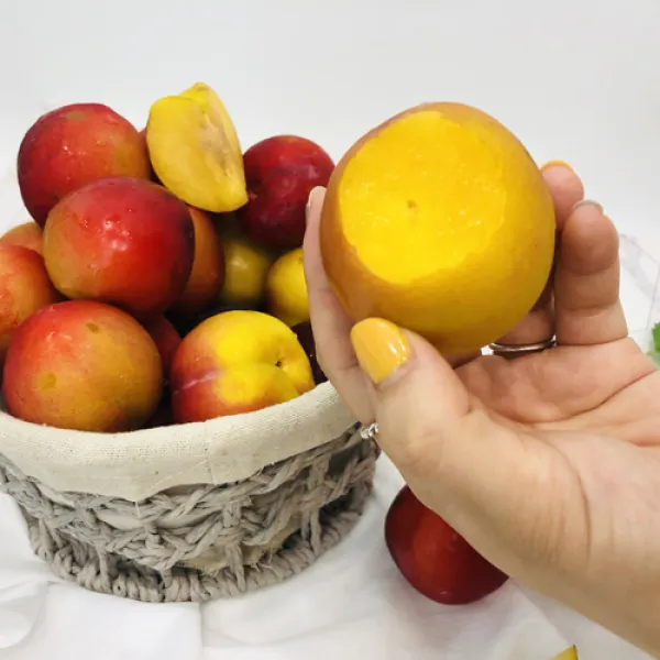 새콤달콤 후무사 자두 3kg 사이즈 랜덤발송, 옵션없음, 옵션없음