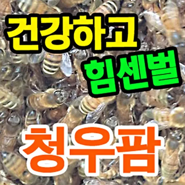 청우팜 벌침 봉침 벌침벌 봉침벌 건강하고 힘센벌, 120마리