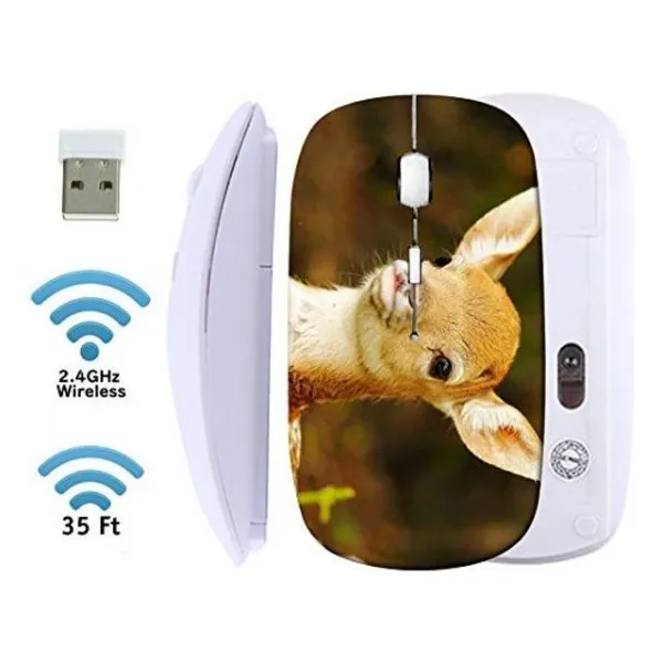 [꿈꾸는직구]W4D2219 MSD 무선 마우스 2.4G USB 수신기가 장착 된 검은 색 기본 여행 마우스 노트북 PC 노트북 컴퓨터 용 1000 DPI로 무소음 및 무음 클릭 MacBook 이미지 ID 21263882 방금 태어난 귀여운 어린 휴경지 사슴, 본상품선택, MYADAVajbA _ CheETAH 인물 _ 762