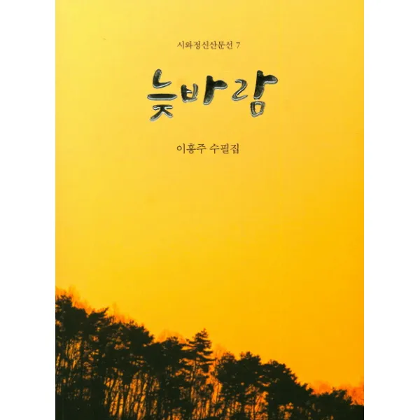늦바람:이홍주 수필집, 시와정신사