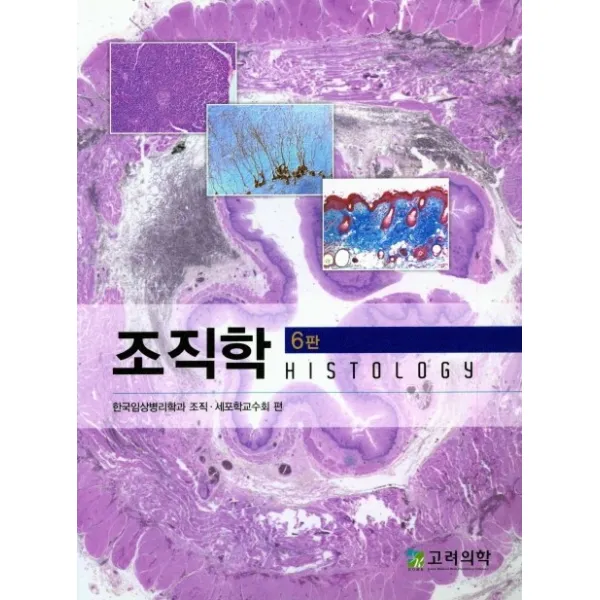 조직학 고려의학