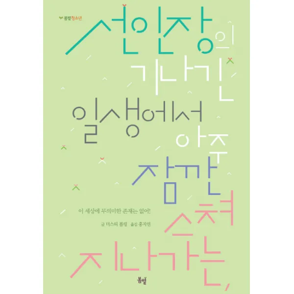 선인장의 기나긴 일생에서 아주 잠깐 스쳐지나가는, 봄볕