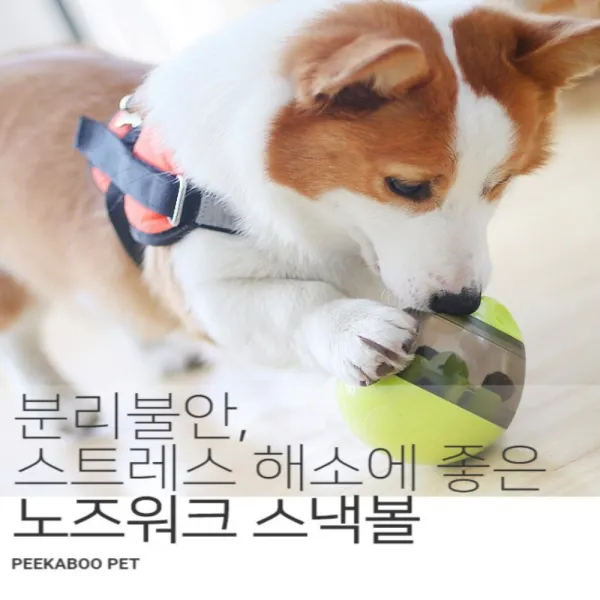 피카부 강아지 장난감 공룡알 노즈워크볼 스낵볼 핑크 노즈워크 1개