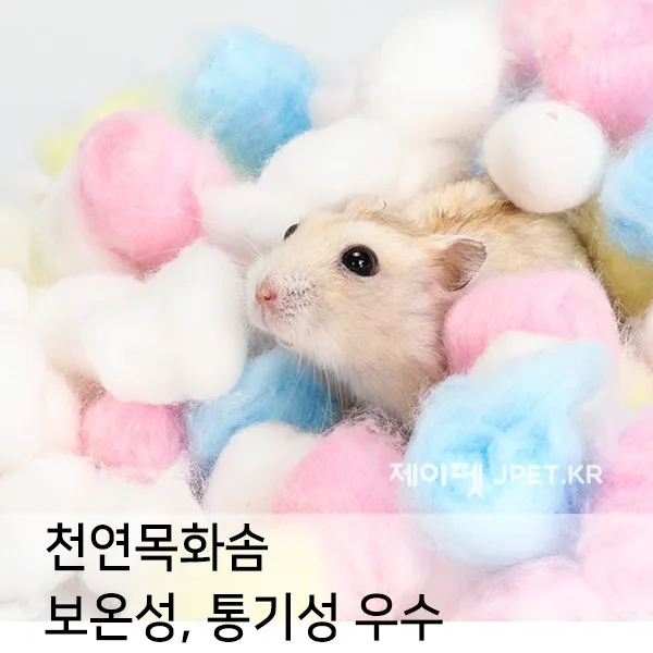 제이펫 레인보우 천연목화솜 60g 햄스터 이불, 1개
