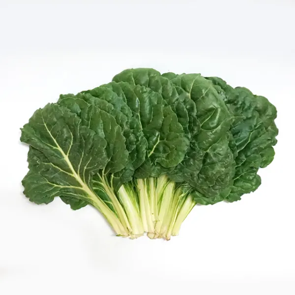 채소파는 가게 근대1박스 (4kg내외), 1팩, 500g