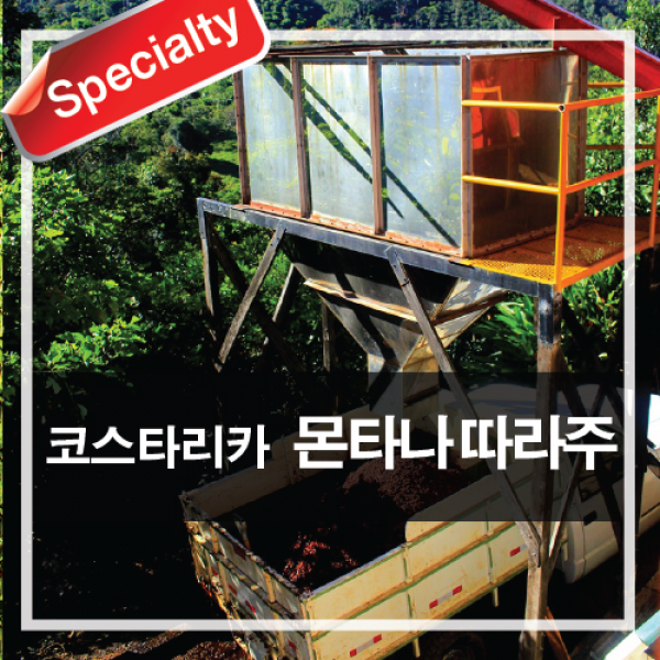 오월의숲 코스타리카 몬타나 따라주 스페셜티 원두커피, 200g, 1.홀빈(분쇄안함)