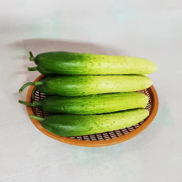 백산상회 백다다기오이(상) 10kg 1박스, 10kg(상)