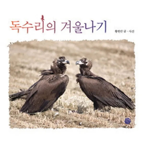 독수리의 겨울나기, 소년한길